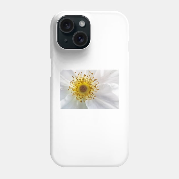 White Rose Phone Case by Eunice1