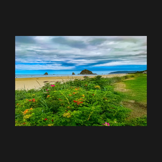 Cannon Beach by Ckauzmann