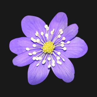 Cute Hepatica Violet Flower T-Shirt