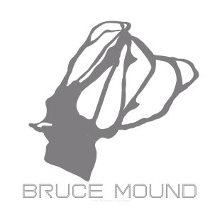 Bruce Mound Resort 3D T-Shirt