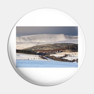 Fan Brycheiniog Pin