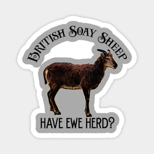 Spread the word about British Soay Sheep! Magnet