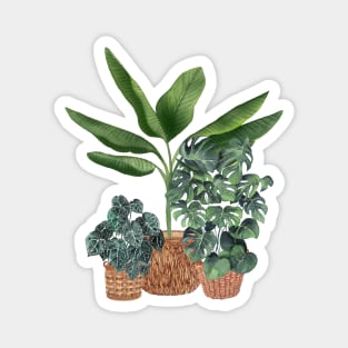 House plants 7 Magnet