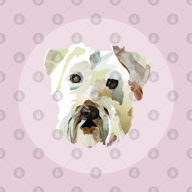 Benji the Soft-Coated Wheaten Terrier by jeslorgra