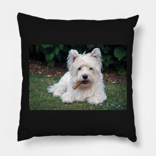 Westie Pillow