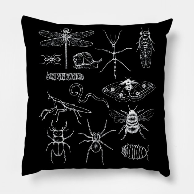 Minibeasts T Shirt With Insects Pillow by mazurprop