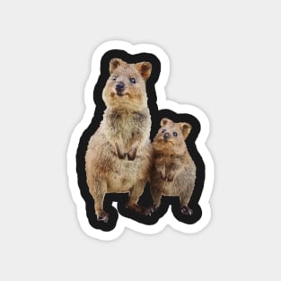 Quokka with Baby Cute Australian Teddy Bear Magnet