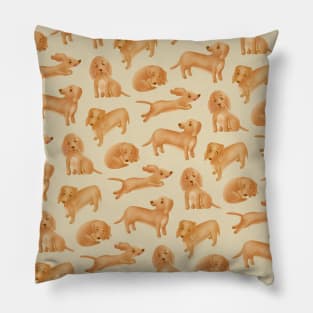 Dachshund.(Wiener dog). Pillow