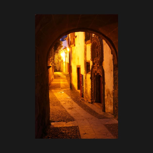 Arco de Almedina, old town, Coimbra, Portugal, city, evening, dusk by Kruegerfoto