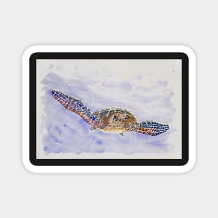 Green Sea Turtle Magnet