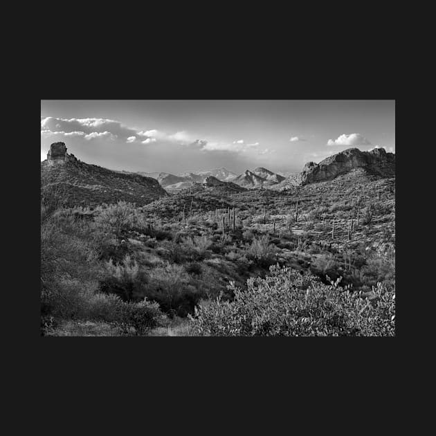 Desert Landscape In Black And White by JimDeFazioPhotography