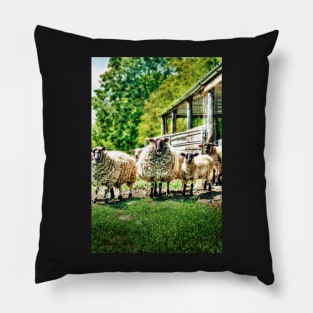 Sheep on the farm Pillow