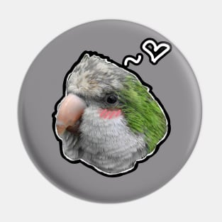 Cute birdie Pin