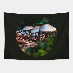 Wild Mushrooms Photograph Tapestry