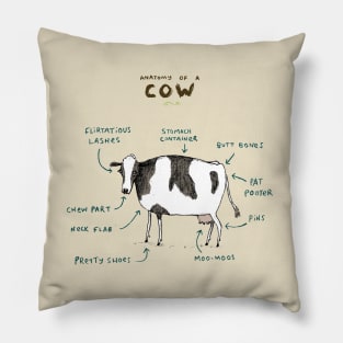 Anatomy of a Cow Pillow
