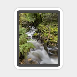 Lake District Waterfall Magnet