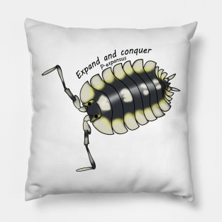 P. expansus Expand and conquer Pillow