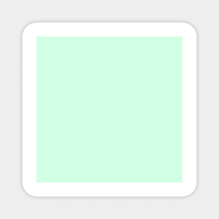 Summer Mint Green Solid Color Magnet