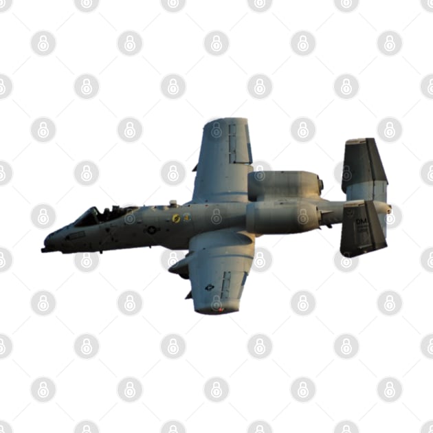 A-10 Warthog No Background by acefox1