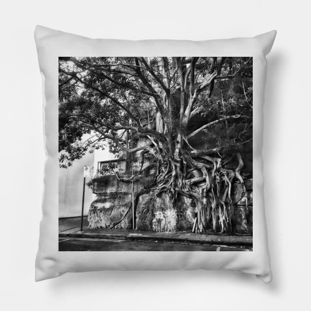 North Sydney Mangrove Pillow by goodieg