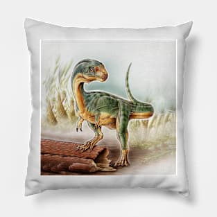 Dinosaur Baby Pillow