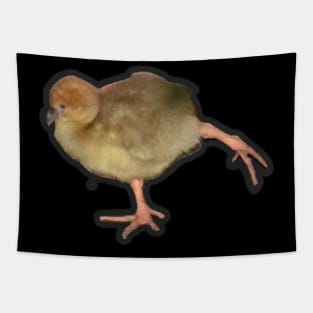 Southern Screamer chick Tapestry