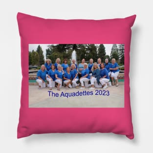 The Aquadettes 2023 Pillow