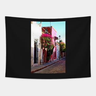 Ruelle de Queretaro, Mexique Tapestry