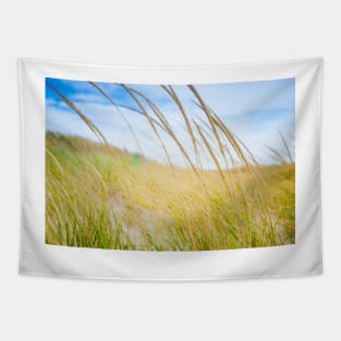 Abstract effect Marram grass blowing in wind.  imagine this on a  card or gracing your room as wall art fine art canvas or framed print on your wall Tapestry