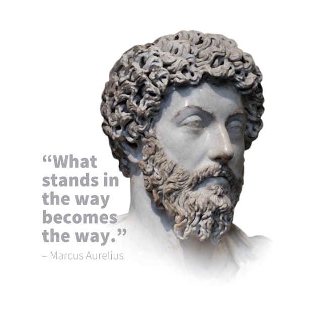 Marcus Aurelius - The Way by Toby Wilkinson