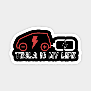 Tesla Recharging Magnet