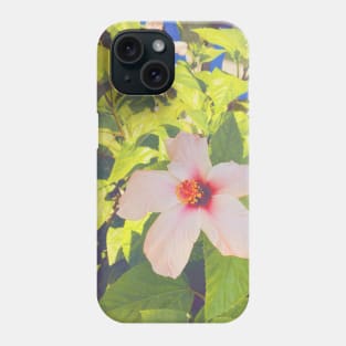 Pretty Pink Flower Photography design with blue sky nature lovers Phone Case