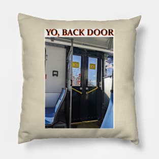 Back Door Pillow