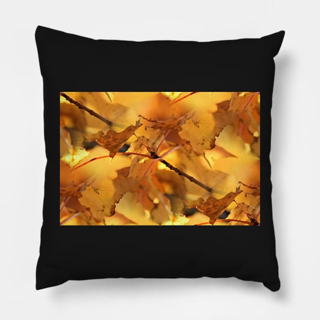 Canopy of Gold Pillow by photoclique