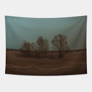 Lonely trees Tapestry