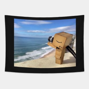 Danbo at the Beach Tapestry