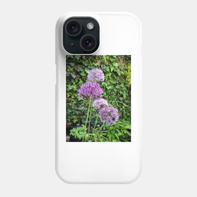 ornamental onion Phone Case by Gourmetkater