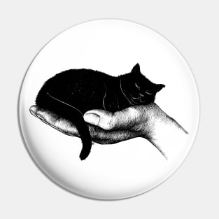 Precious Kitty Pin