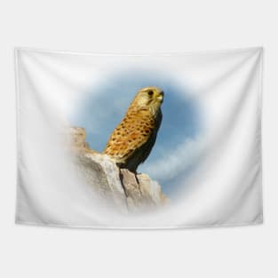 Kestrel Tapestry