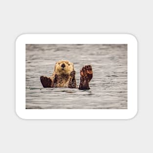 Sea Otter in Alaska Magnet