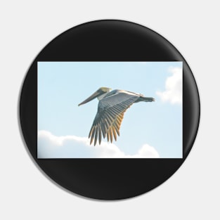 Pelican in Flight Pin