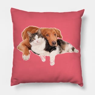 Dog & Cat Pillow