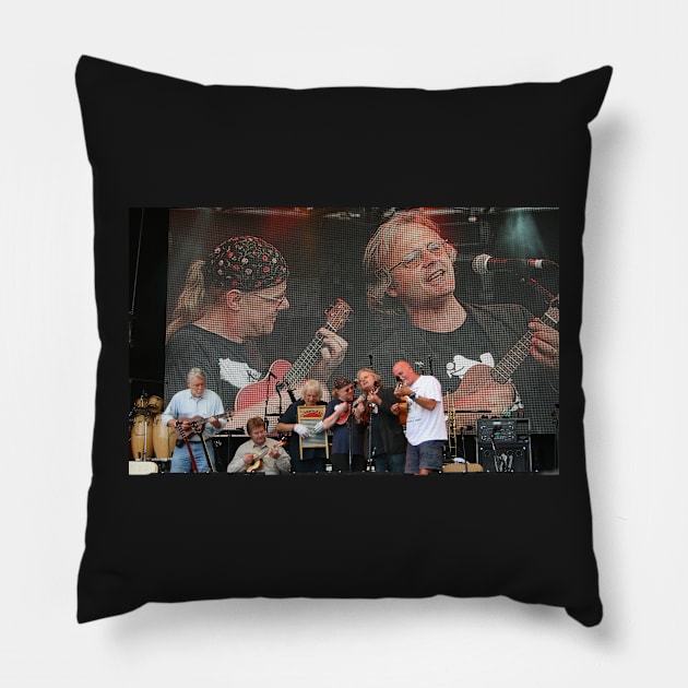 Ukulele Central Pillow by RedHillDigital