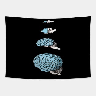 Neocortex Evolution Tapestry