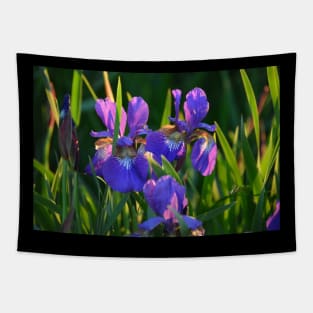 Iris Beauty Tapestry