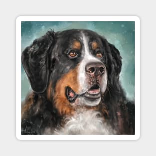 Painting of a Bernese Mountain Dog, on Dark Turquoise Background Magnet