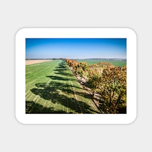 Alley of autumn trees among green fields in countryside Magnet