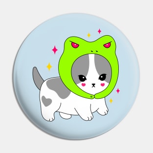 Cat and frog costume Pin