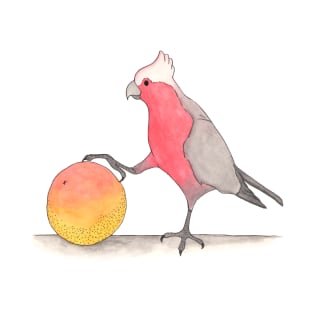 G is for Galah T-Shirt