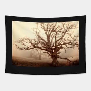 Mighty Old Oak in fog Tapestry